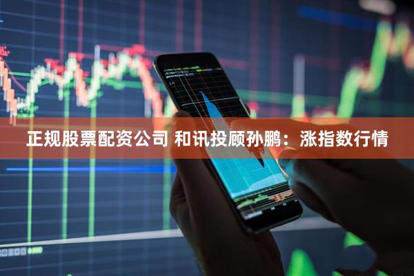 正规股票配资公司 和讯投顾孙鹏：涨指数行情