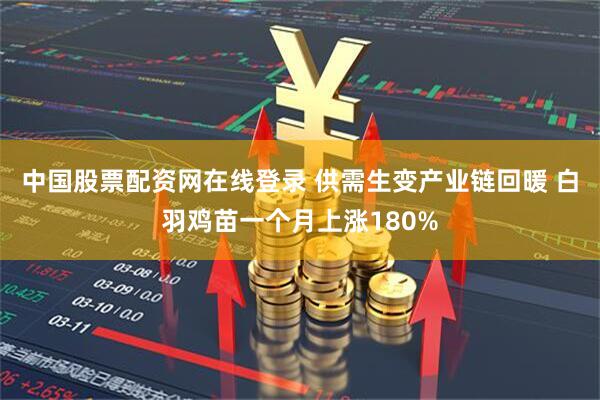中国股票配资网在线登录 供需生变产业链回暖 白羽鸡苗一个月上涨180%